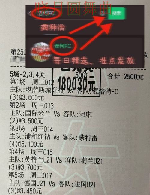 世界杯投注登录入口打不开怎么办,从入门到进阶 世界杯投注登录入口打不开怎么办,从入门到进阶